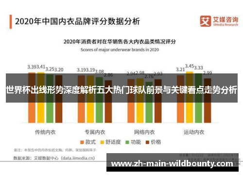 世界杯出线形势深度解析五大热门球队前景与关键看点走势分析